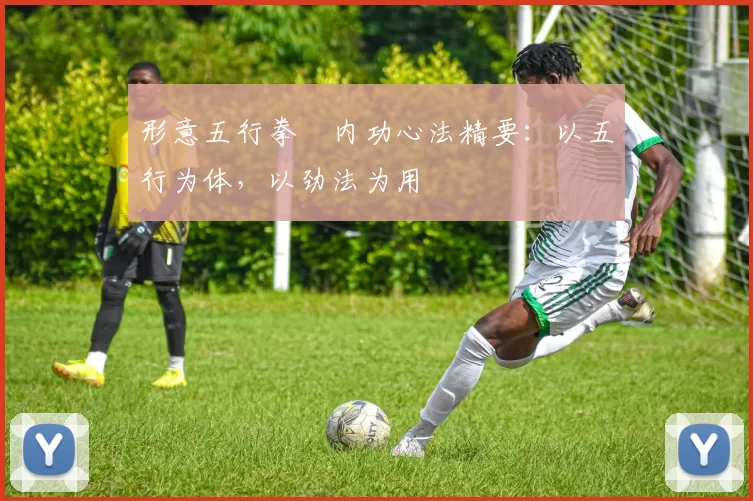 形意五行拳・内功心法精要：以五行为体，以劲法为用