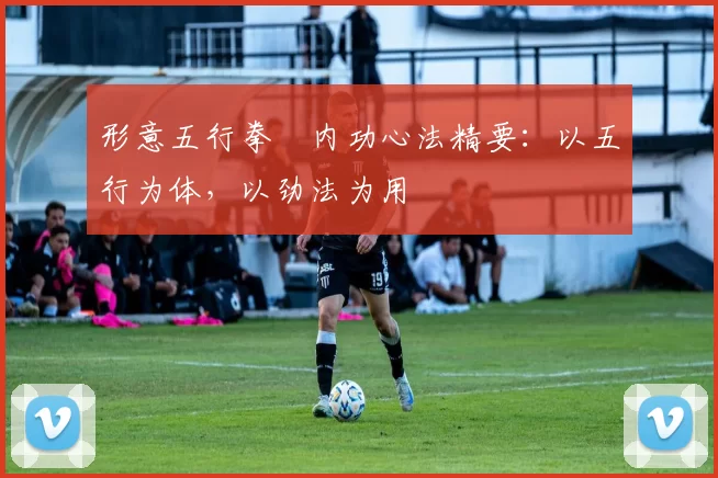 形意五行拳・内功心法精要:以五行为体,以劲法为用