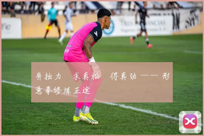 弃拙力・求真松・得真劲 —— 形意拳修炼正途