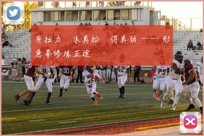 弃拙力・求真松・得真劲 —— 形意拳修炼正途