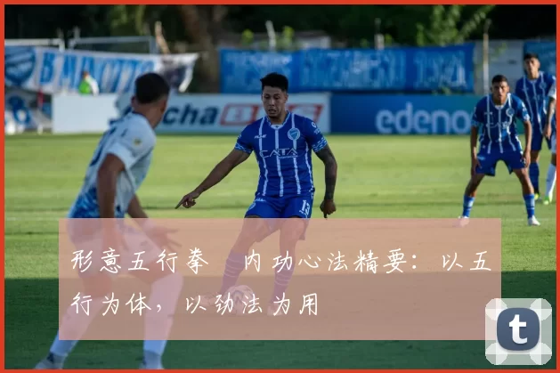 形意五行拳・内功心法精要:以五行为体,以劲法为用