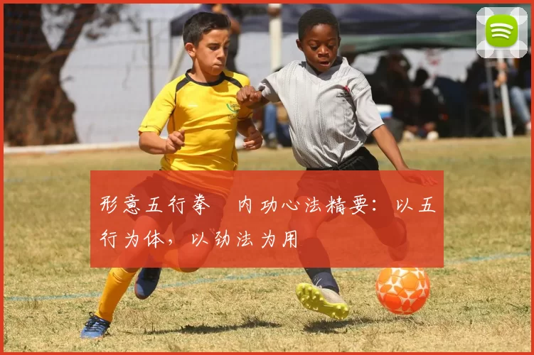 形意五行拳・内功心法精要：以五行为体，以劲法为用