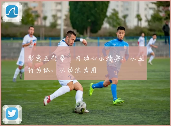 形意五行拳・内功心法精要:以五行为体,以劲法为用