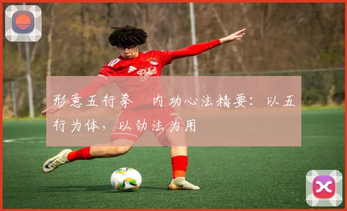 形意五行拳・内功心法精要：以五行为体，以劲法为用