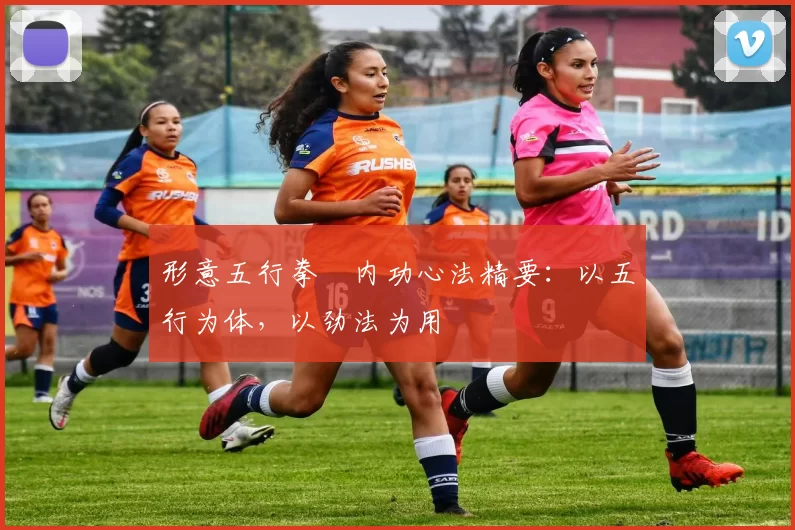 形意五行拳・内功心法精要:以五行为体,以劲法为用