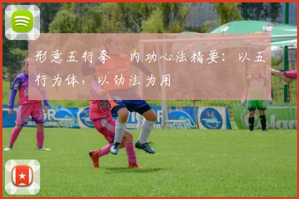 形意五行拳・内功心法精要：以五行为体，以劲法为用