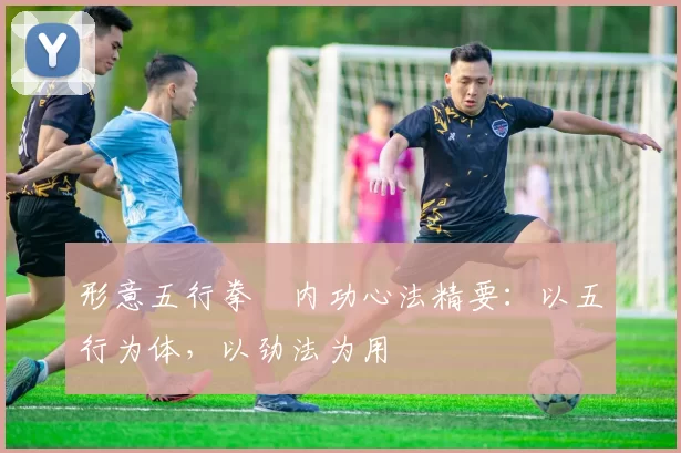 形意五行拳・内功心法精要:以五行为体,以劲法为用