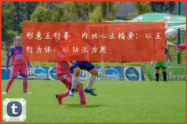 形意五行拳・内功心法精要：以五行为体，以劲法为用