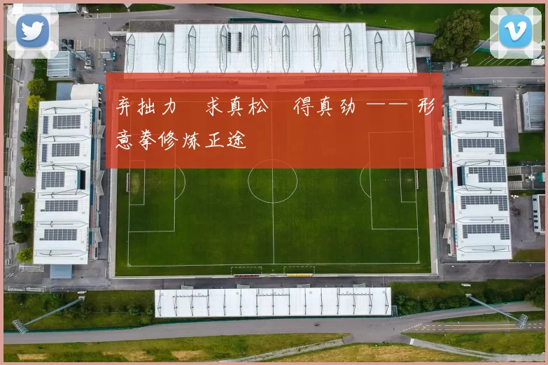 弃拙力・求真松・得真劲 —— 形意拳修炼正途