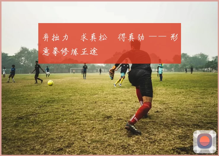 弃拙力・求真松・得真劲 —— 形意拳修炼正途