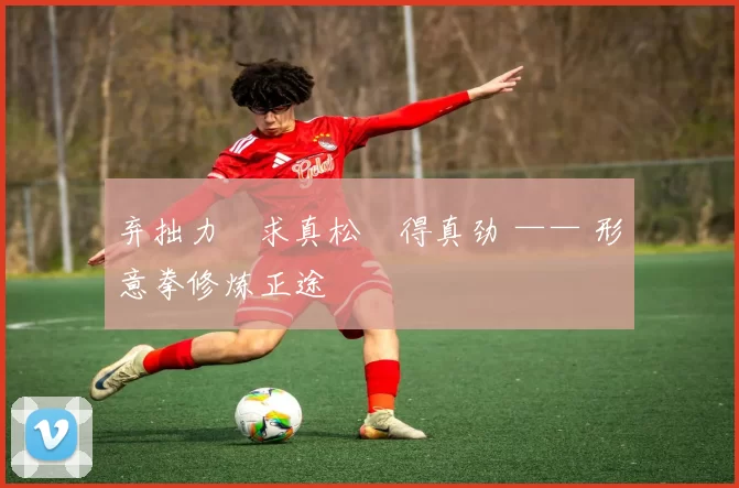 弃拙力・求真松・得真劲 —— 形意拳修炼正途