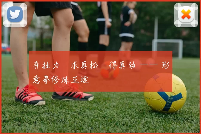 弃拙力・求真松・得真劲 —— 形意拳修炼正途