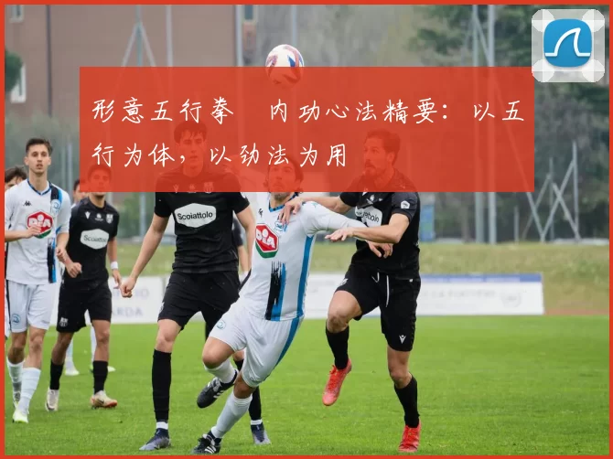 形意五行拳・内功心法精要:以五行为体,以劲法为用