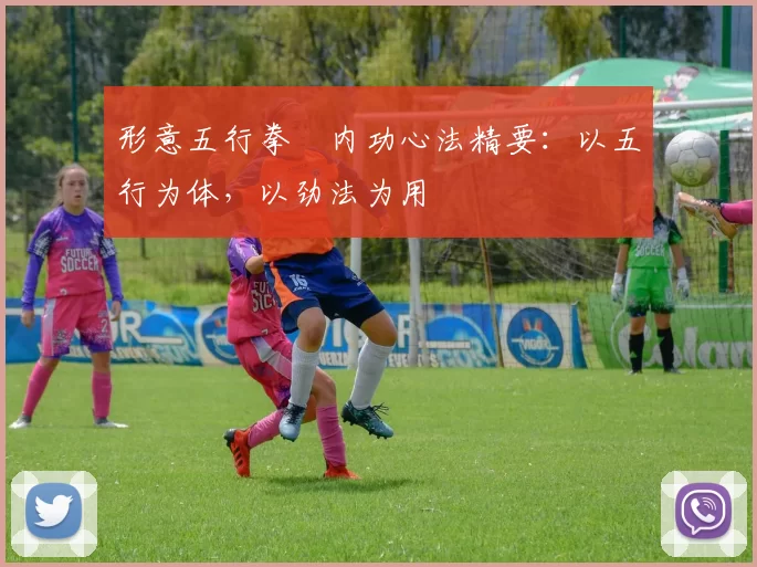 形意五行拳・内功心法精要:以五行为体,以劲法为用