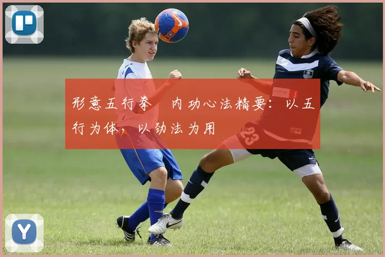 形意五行拳・内功心法精要：以五行为体，以劲法为用