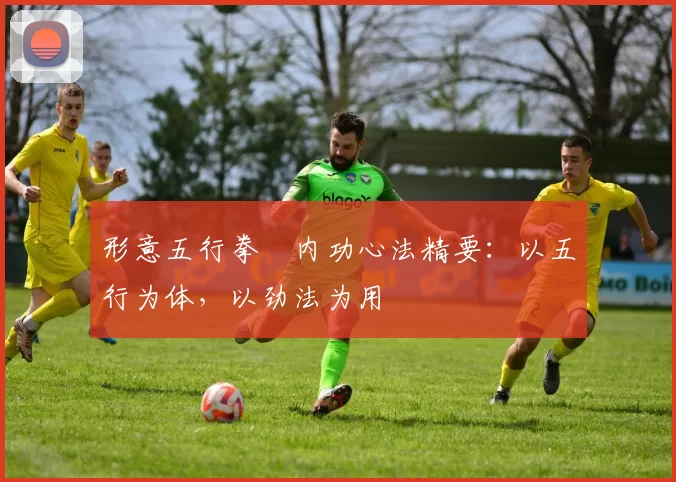 形意五行拳・内功心法精要：以五行为体，以劲法为用