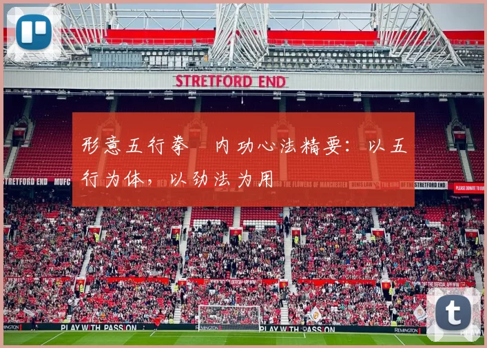 形意五行拳・内功心法精要：以五行为体，以劲法为用