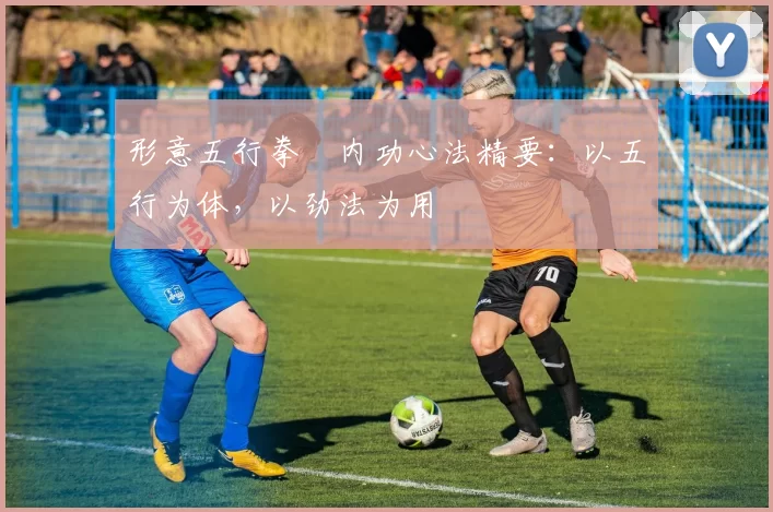 形意五行拳・内功心法精要：以五行为体，以劲法为用