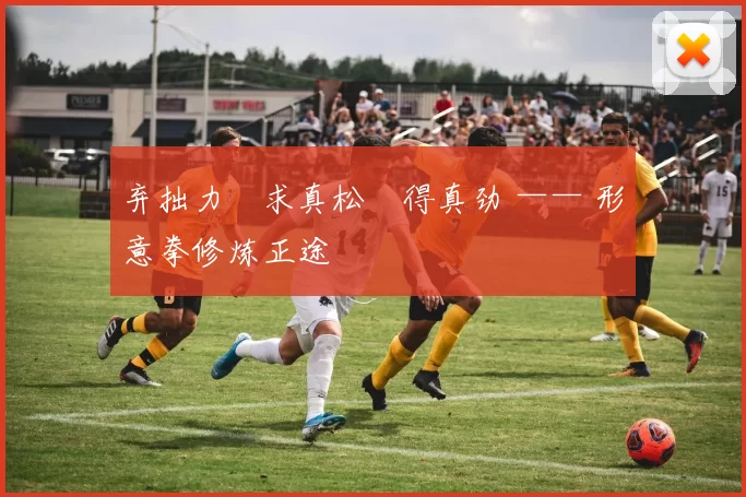 弃拙力・求真松・得真劲 —— 形意拳修炼正途