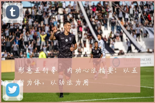 形意五行拳・内功心法精要:以五行为体,以劲法为用