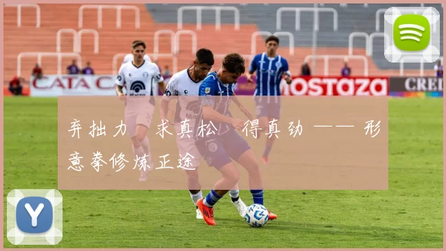 弃拙力・求真松・得真劲 —— 形意拳修炼正途