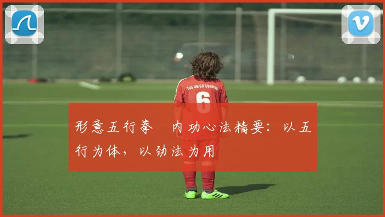 形意五行拳・内功心法精要：以五行为体，以劲法为用