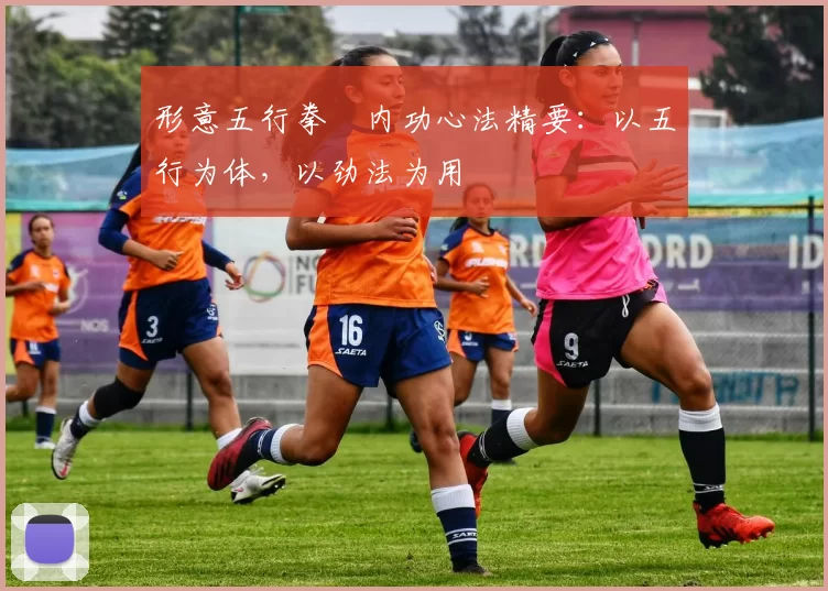 形意五行拳・内功心法精要:以五行为体,以劲法为用