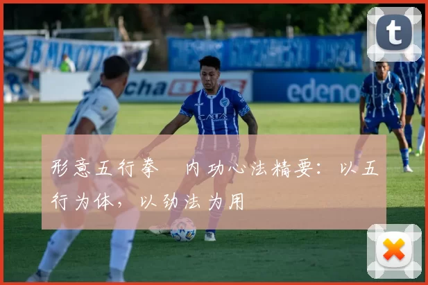 形意五行拳・内功心法精要:以五行为体,以劲法为用