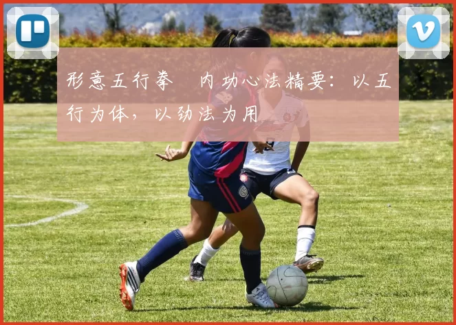 形意五行拳・内功心法精要：以五行为体，以劲法为用