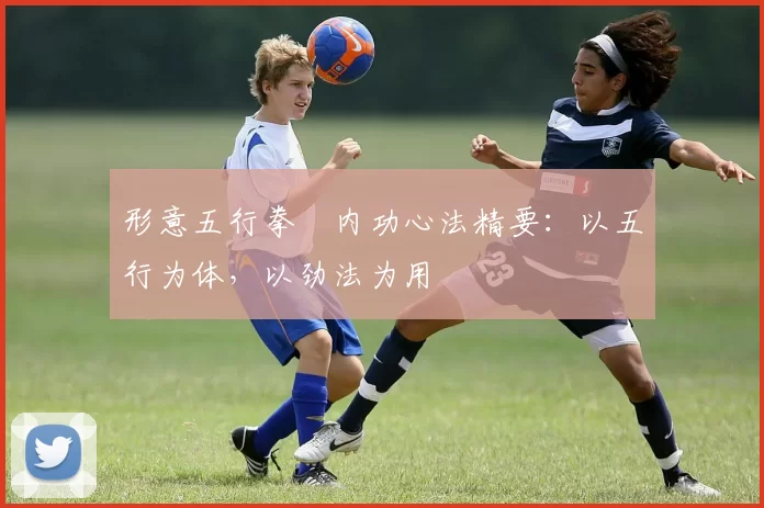 形意五行拳・内功心法精要：以五行为体，以劲法为用