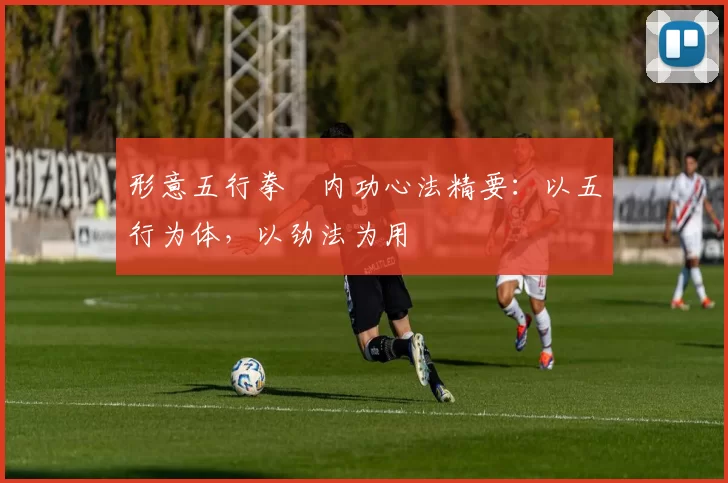 形意五行拳・内功心法精要:以五行为体,以劲法为用