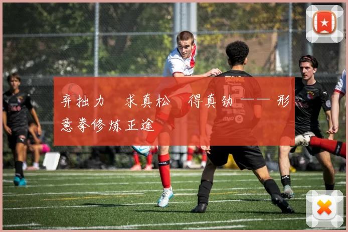 弃拙力・求真松・得真劲 —— 形意拳修炼正途