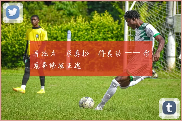 弃拙力・求真松・得真劲 —— 形意拳修炼正途