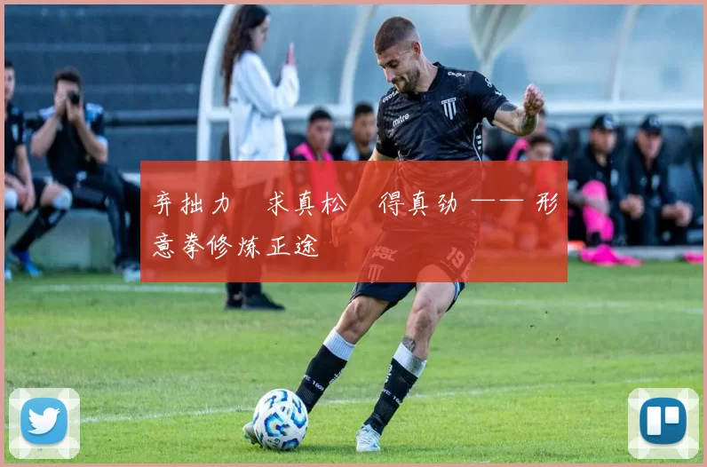 弃拙力・求真松・得真劲 —— 形意拳修炼正途