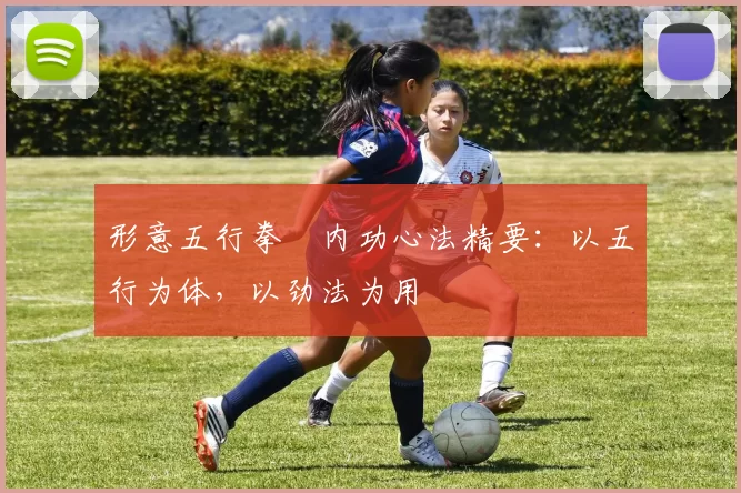 形意五行拳・内功心法精要：以五行为体，以劲法为用