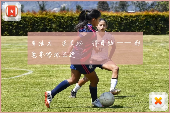 弃拙力・求真松・得真劲 —— 形意拳修炼正途