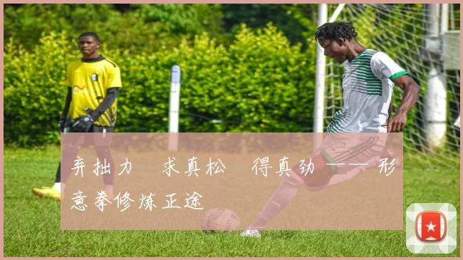 弃拙力・求真松・得真劲 —— 形意拳修炼正途