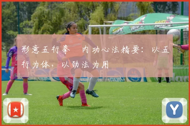 形意五行拳・内功心法精要：以五行为体，以劲法为用