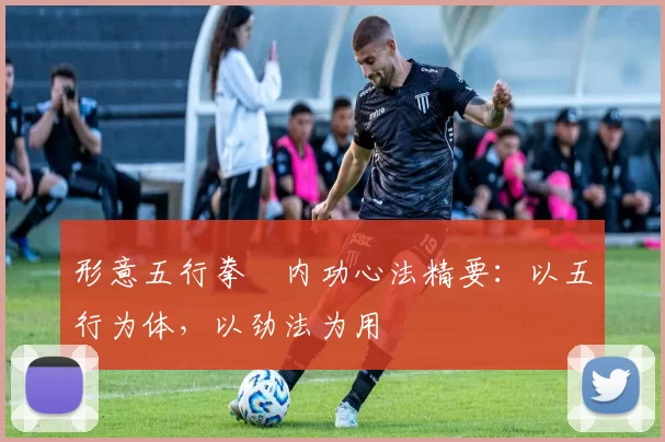 形意五行拳・内功心法精要：以五行为体，以劲法为用