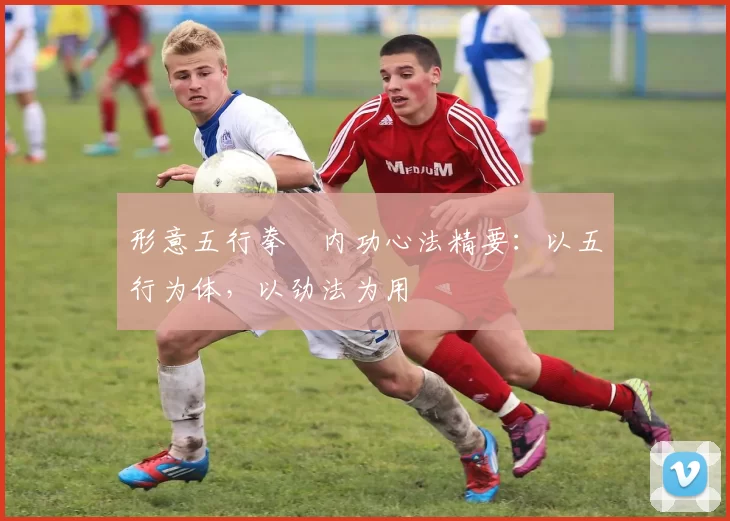 形意五行拳・内功心法精要：以五行为体，以劲法为用