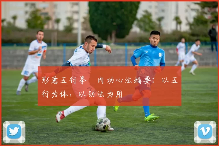 形意五行拳・内功心法精要：以五行为体，以劲法为用