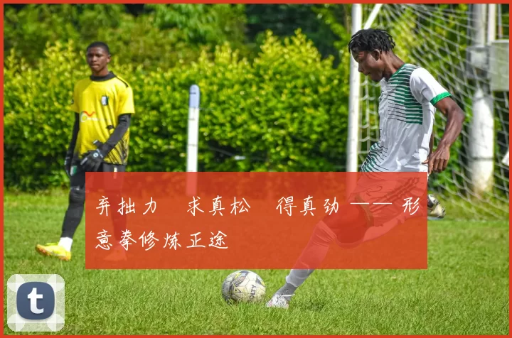 弃拙力・求真松・得真劲 —— 形意拳修炼正途