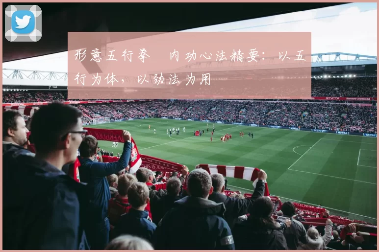 形意五行拳・内功心法精要：以五行为体，以劲法为用