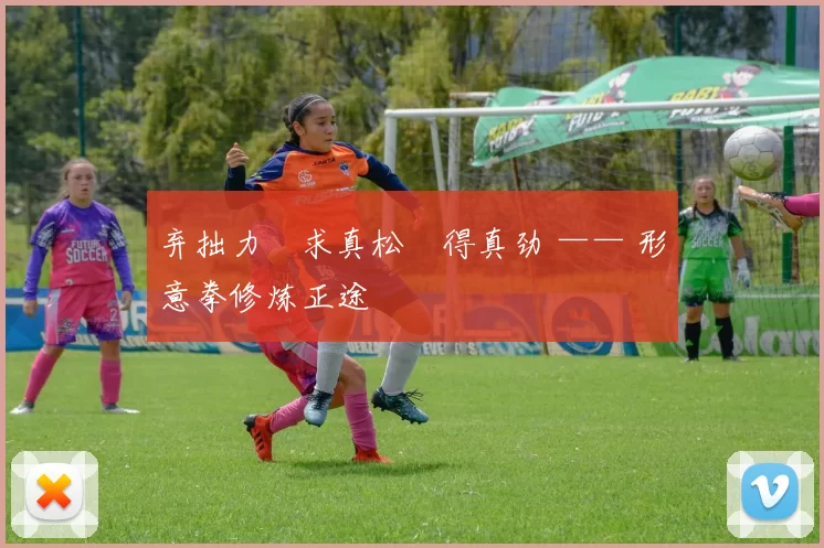 弃拙力・求真松・得真劲 —— 形意拳修炼正途