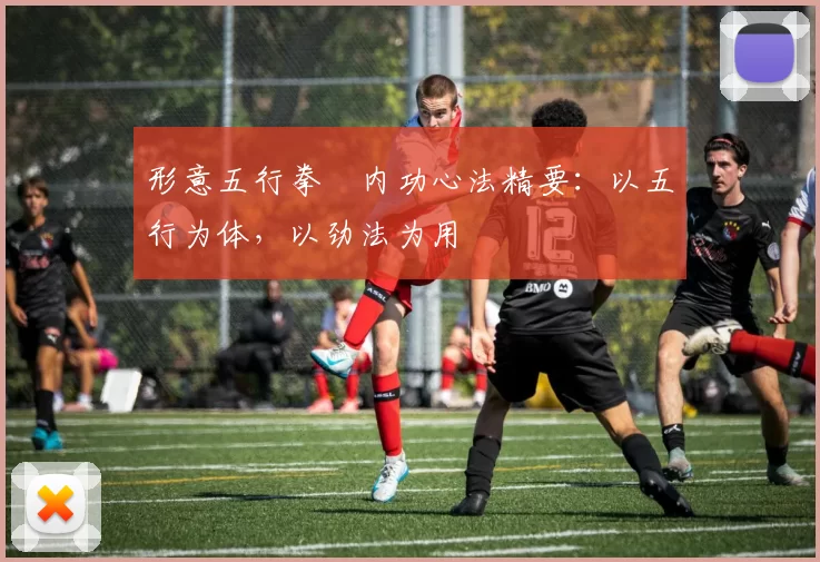 形意五行拳・内功心法精要：以五行为体，以劲法为用