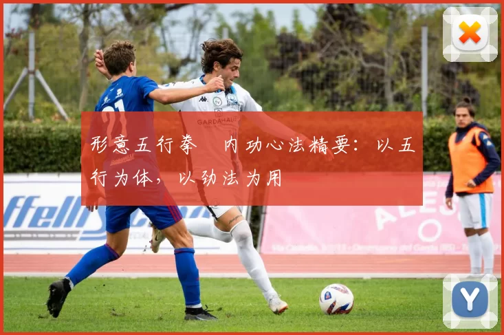 形意五行拳・内功心法精要：以五行为体，以劲法为用