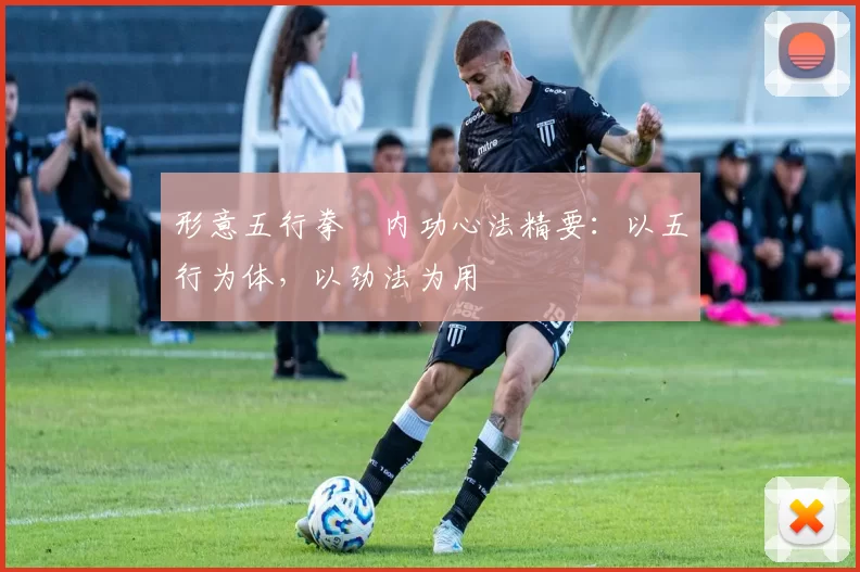 形意五行拳・内功心法精要：以五行为体，以劲法为用