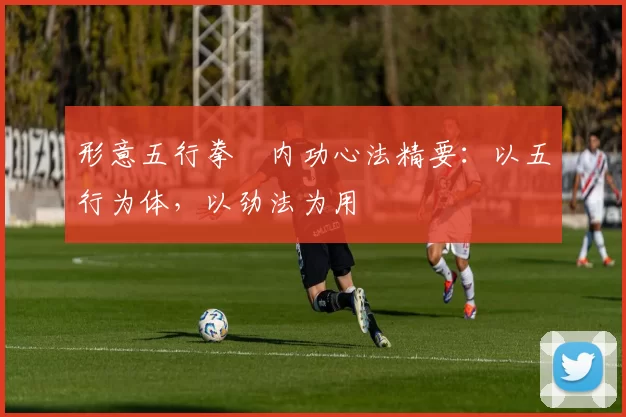 形意五行拳・内功心法精要:以五行为体,以劲法为用