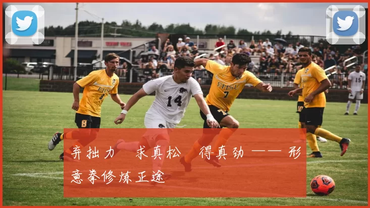 弃拙力・求真松・得真劲 —— 形意拳修炼正途