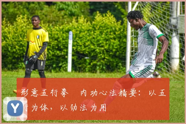 形意五行拳・内功心法精要：以五行为体，以劲法为用